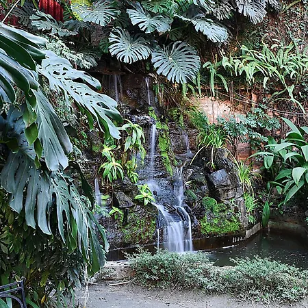 Hotel Nirvana Garden