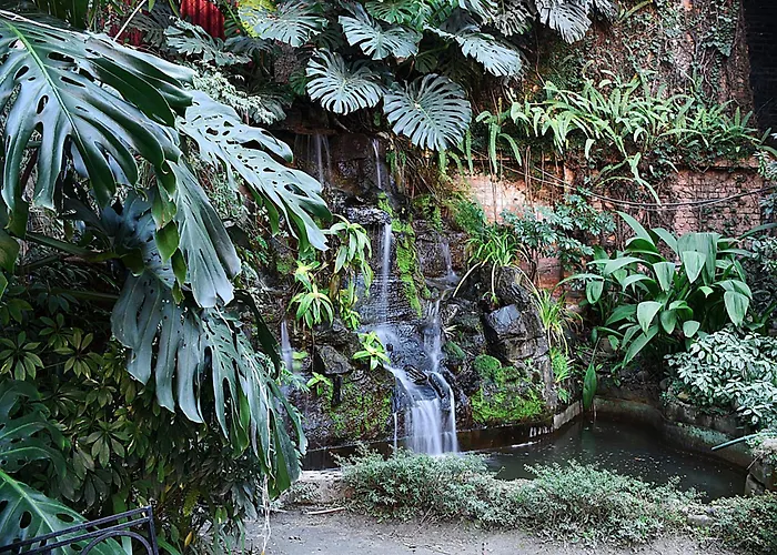 Nirvana Garden